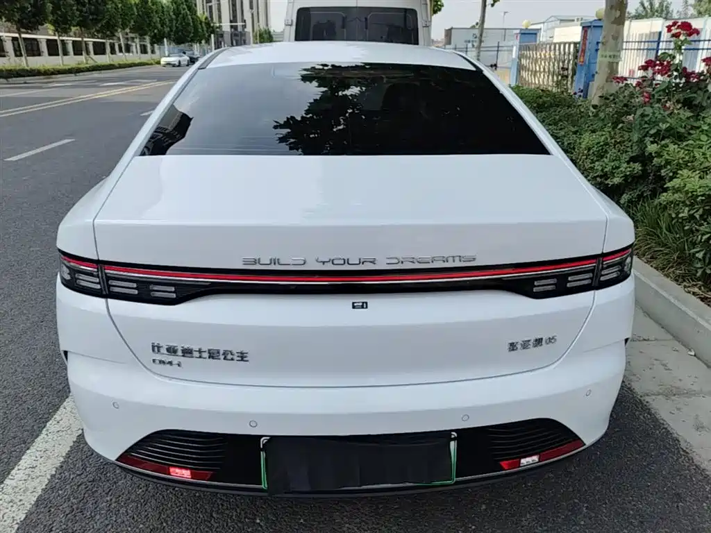 BYD Destroyer 05 2024 Glory Edition DM-i 55KM Luxury фото 6