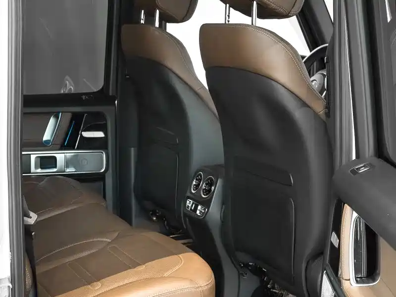 Mercedes-Benz G-Class 2020 G 350 фото 9