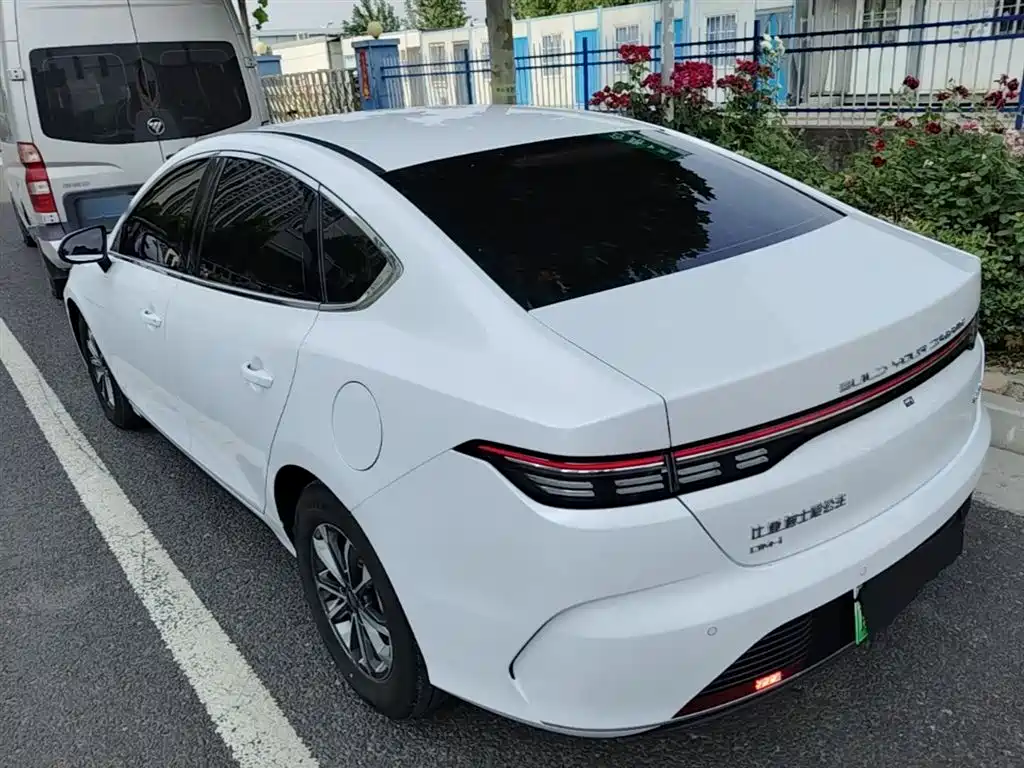 BYD Destroyer 05 2024 Glory Edition DM-i 55KM Luxury фото 5