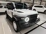 Фото 4 - iCAR V23
