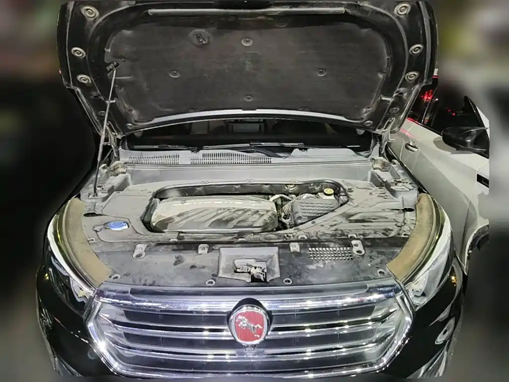 Hanteng Auto Hanteng X5 2018 2018 1.5T CVT Luxury Edition