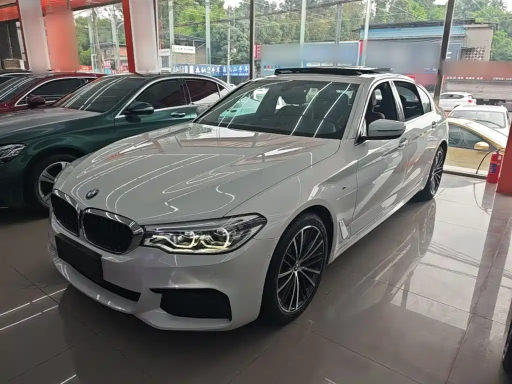 BMW 5 Series 2020 530Li Leading M Sport Package