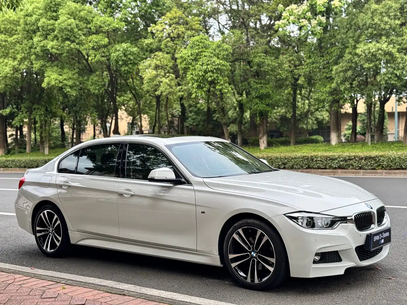 BMW 3 Series 2019 320Li M Luxury Package фото 3