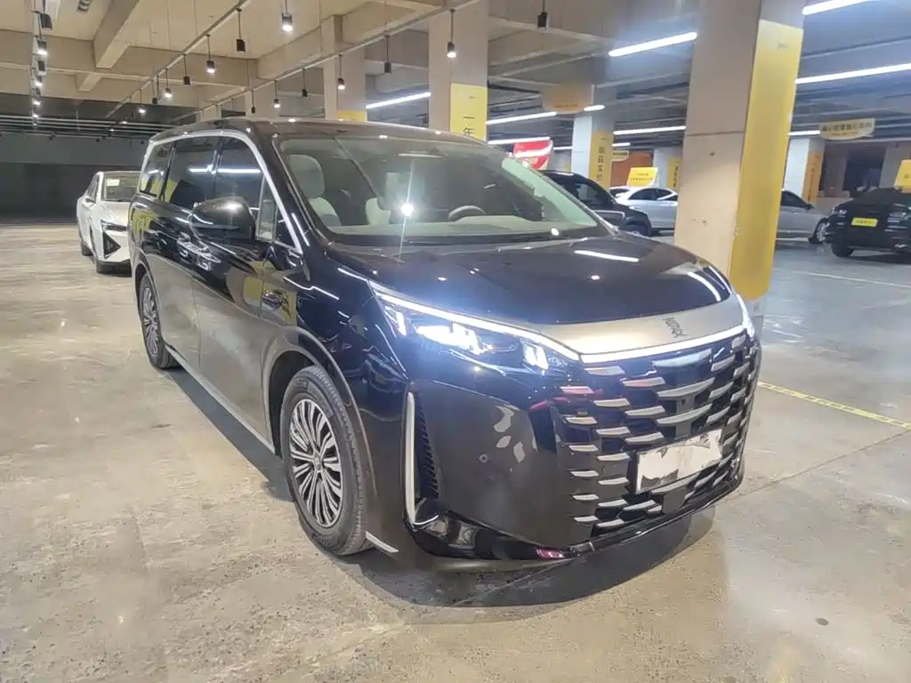 BYD Xia 2025 2025 DM-i 1.5T 180km Excellence