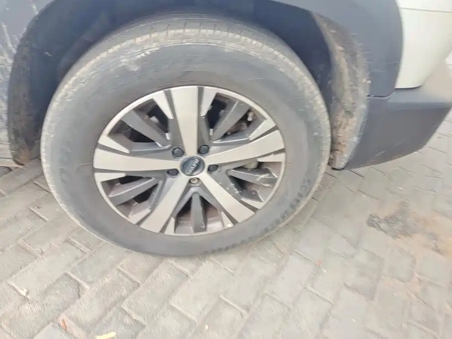 Haval Dargo 2021 2021 1.5T DCT 2WD Labrador Edition