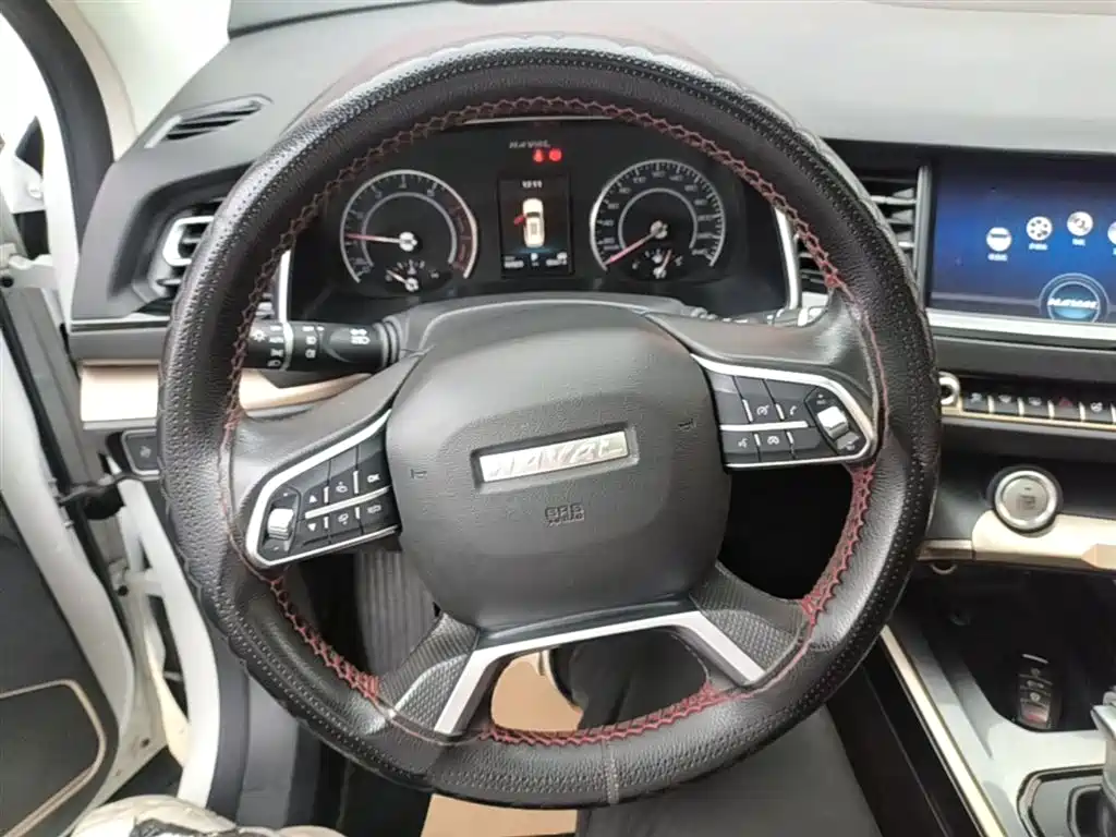 Haval H6 2019 Red Label 2.0GDIT Automatic Champion Edition фото 11