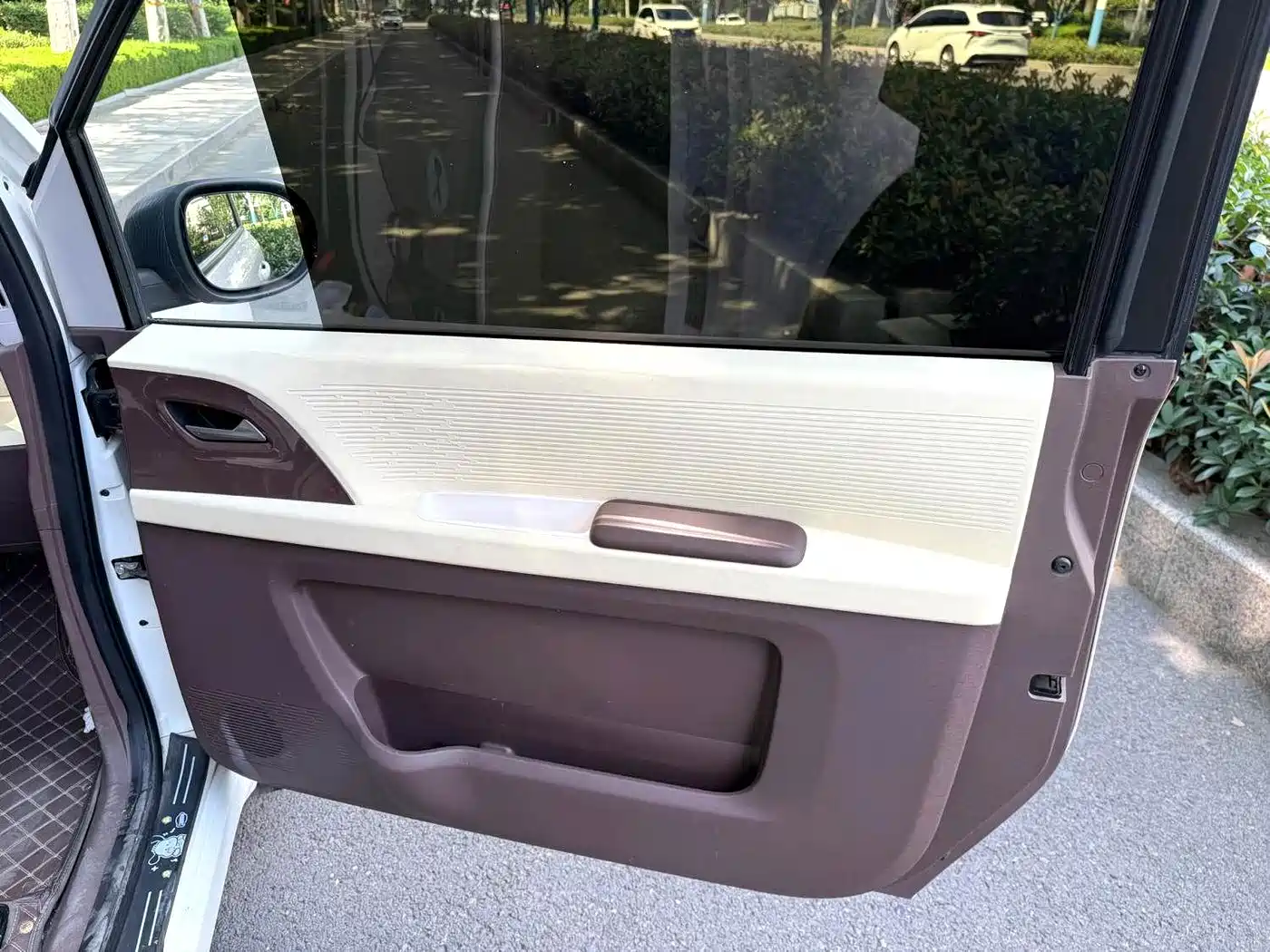 Zhido Rainbow 2025 2025 Pro 205km Sunshine Edition