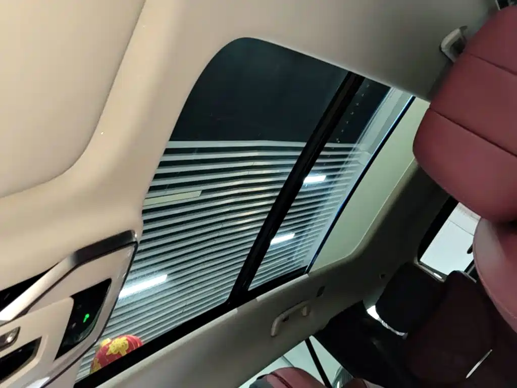 Hongqi E-HS9 2023 2021 460km Flagship Comfort 6-seater