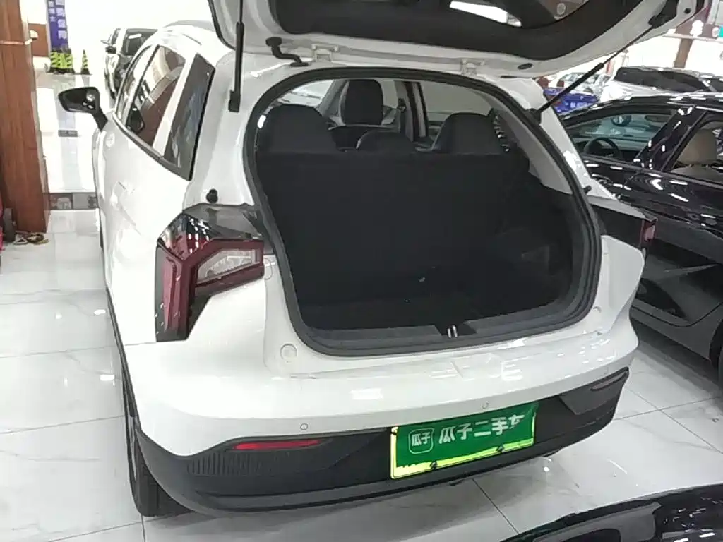 Geely Geometry E Firefly 2024 2024 401km Starlight