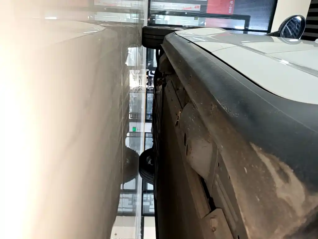 Ora Black Cat 2022 2022 351km Luxury (NMC)