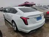 صورة 5 - Cadillac CT5