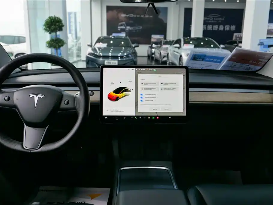 TESLA MODEL 3