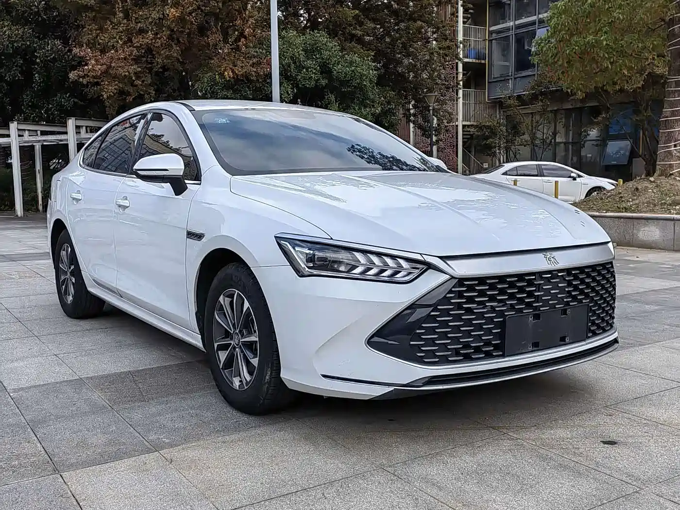 BYD Qin PLUS 2023 Champion Edition DM-i 55KM Leading фото 7
