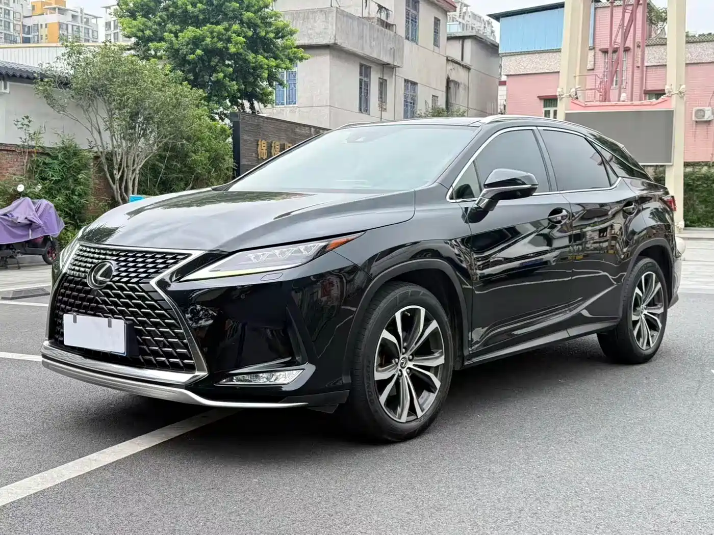 Lexus RX 2020 300 4WD Elegance Edition China VI