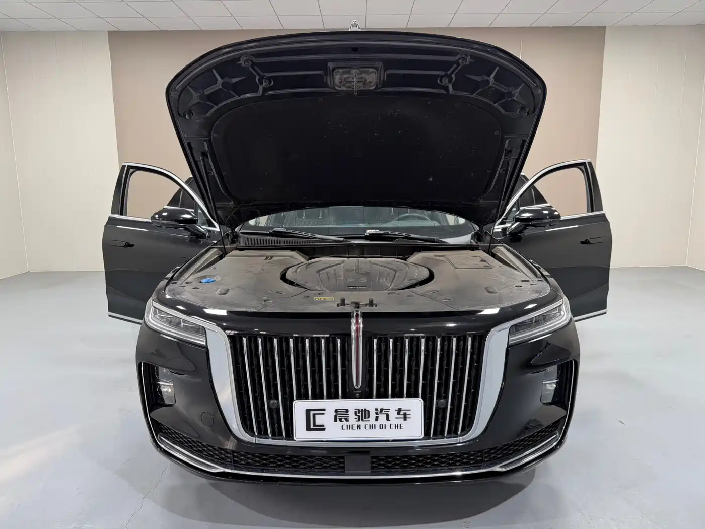  HONGQI H9