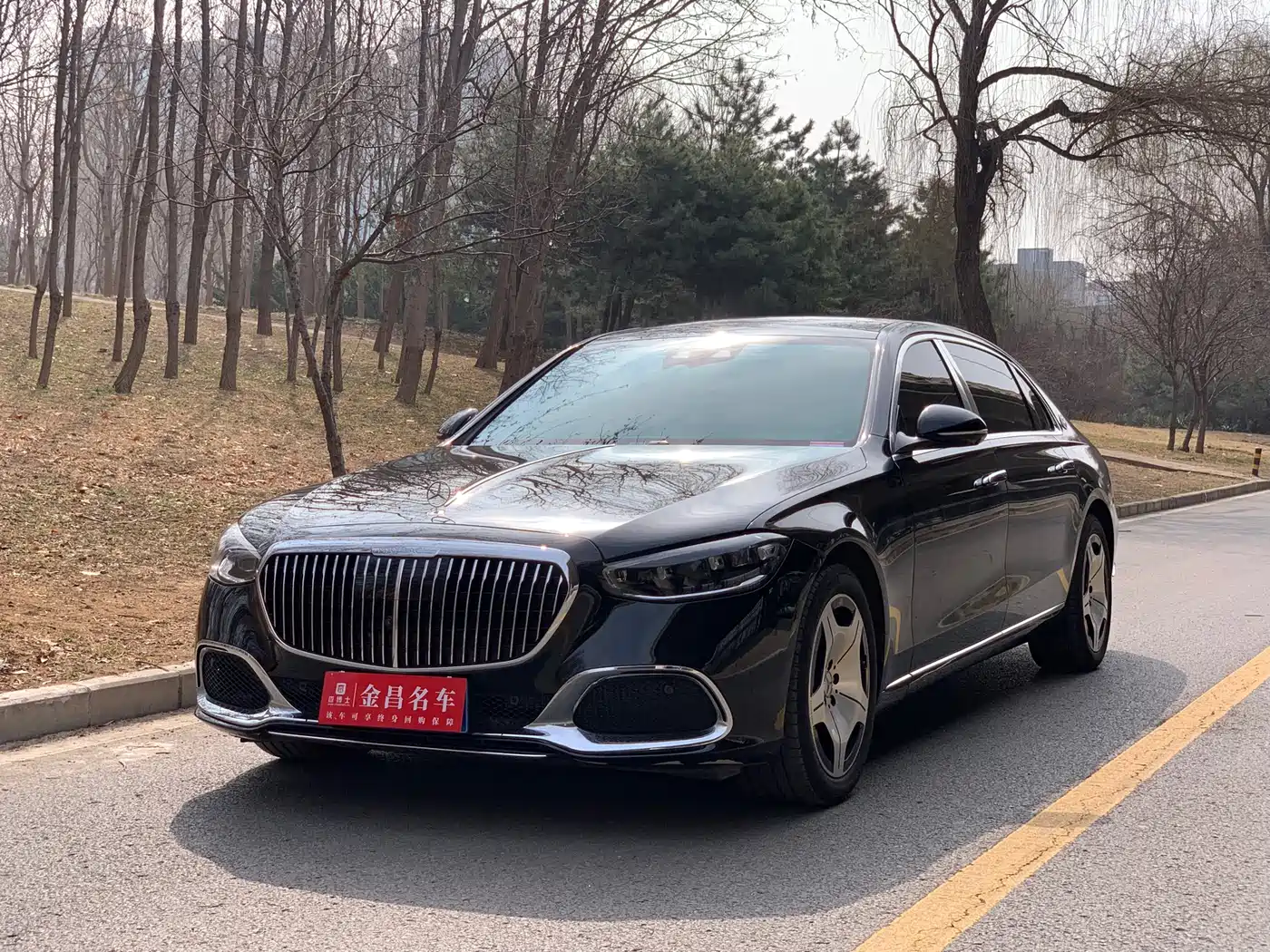 MERCEDES-BENZ MAYBACH S CLASS