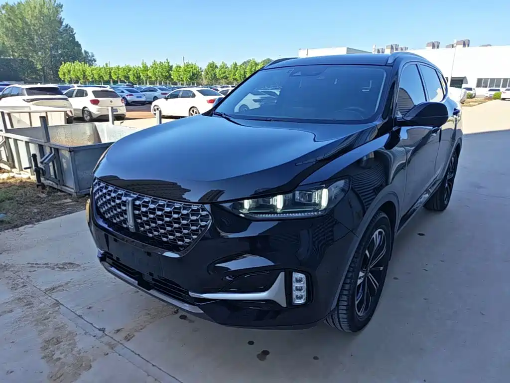 WEY VV6 2021 2021 2.0T 2WD Child Care Edition