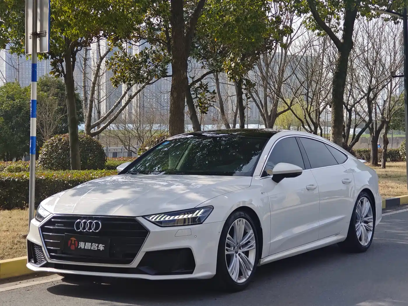 Audi A7 2019 55 TFSI quattro Dynamic Type