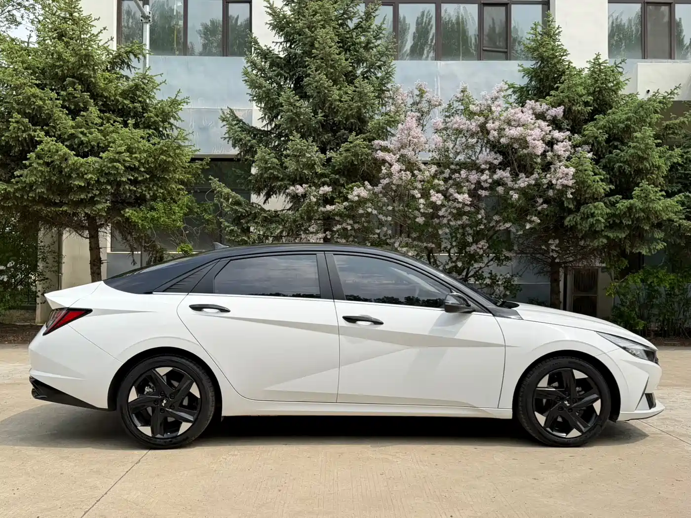 Hyundai Elantra 2022 1.5L CVT LUX Premium Edition фото 4