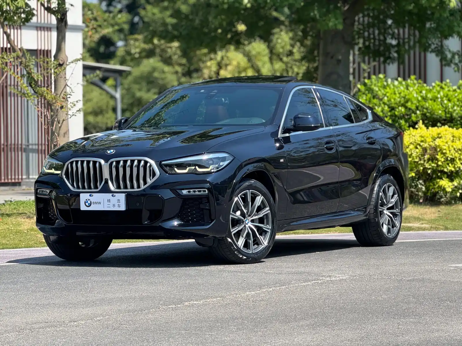 صورة 1 - BMW X6