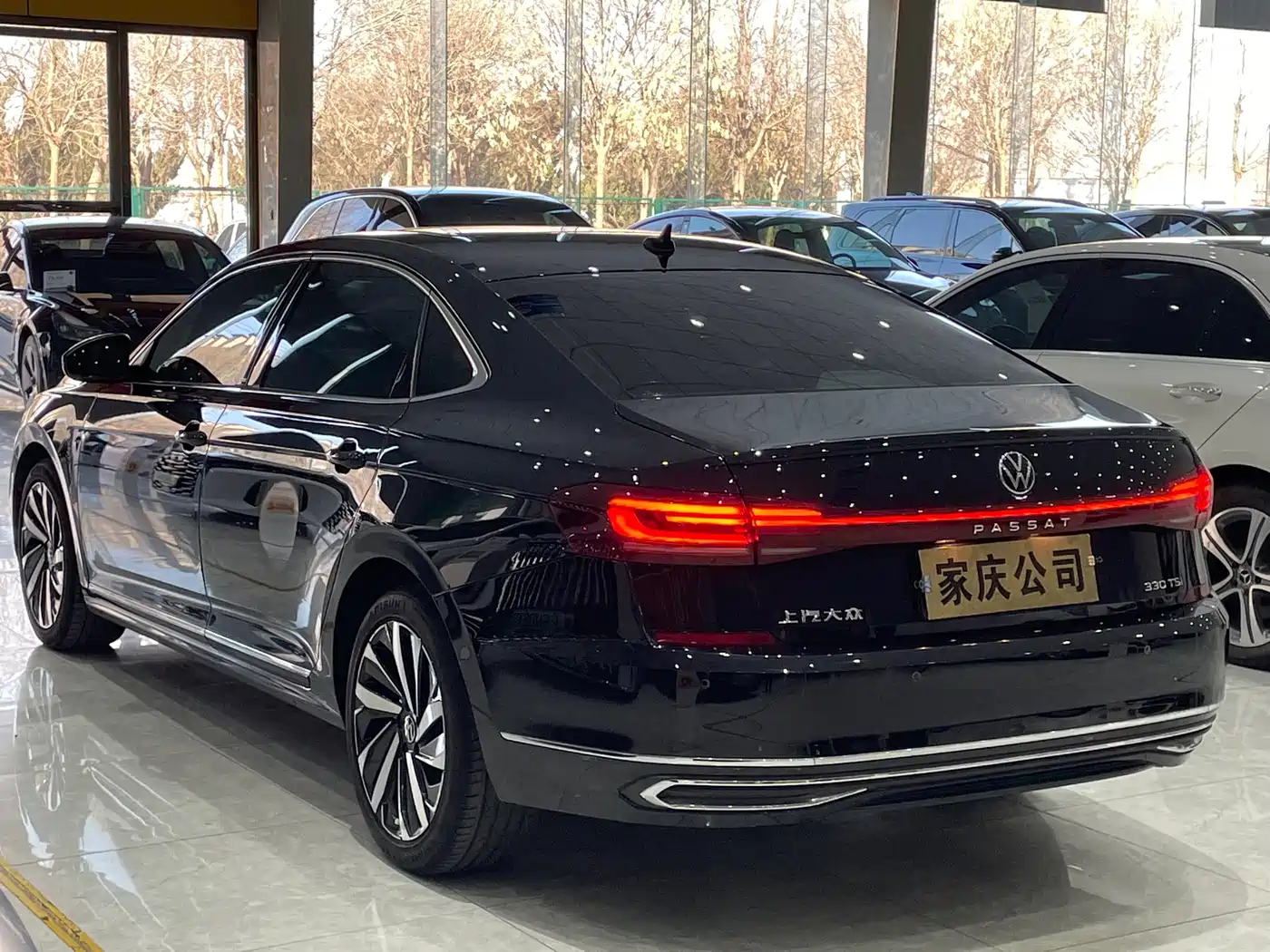 Volkswagen Passat 2023 Facelift 330TSI Elite Edition фото 8