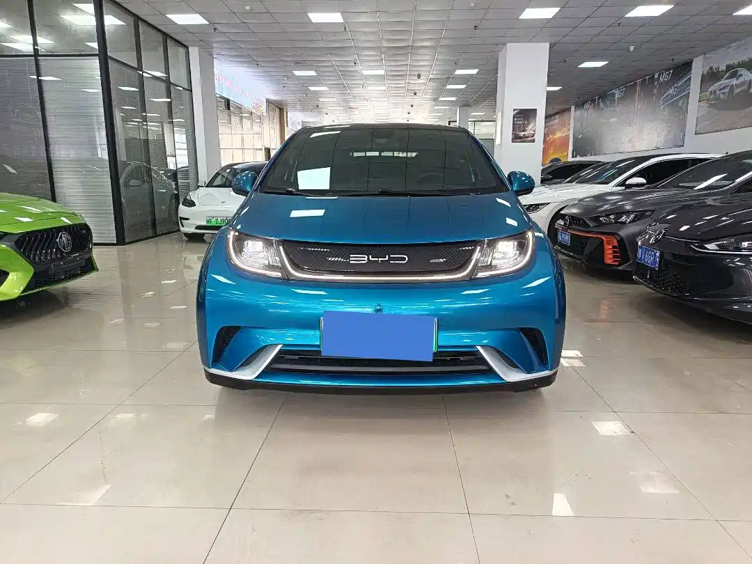 BYD DOLPHIN