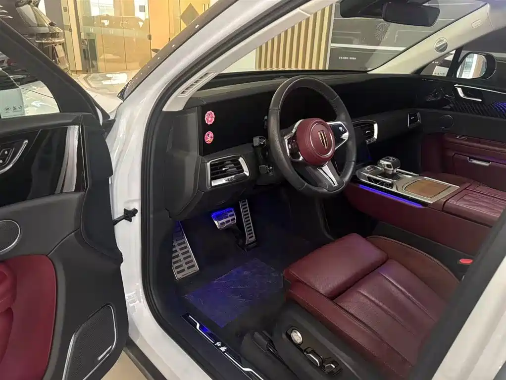 Hongqi HONGQI E HS9