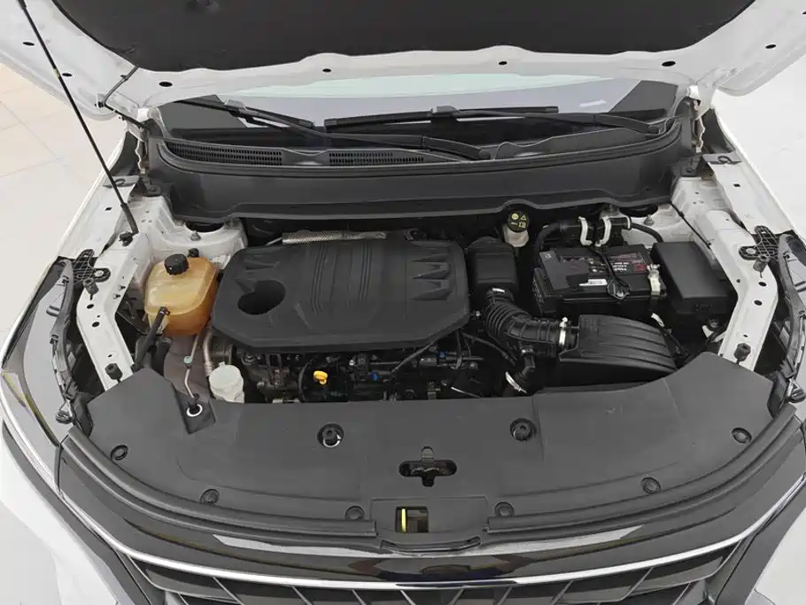 Dongfeng Fengguang Fengguang 580 2022 2022 1.5T Auto Luxury Model