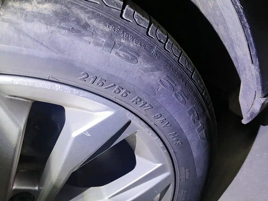 صورة 7 - Volkswagen Magotan