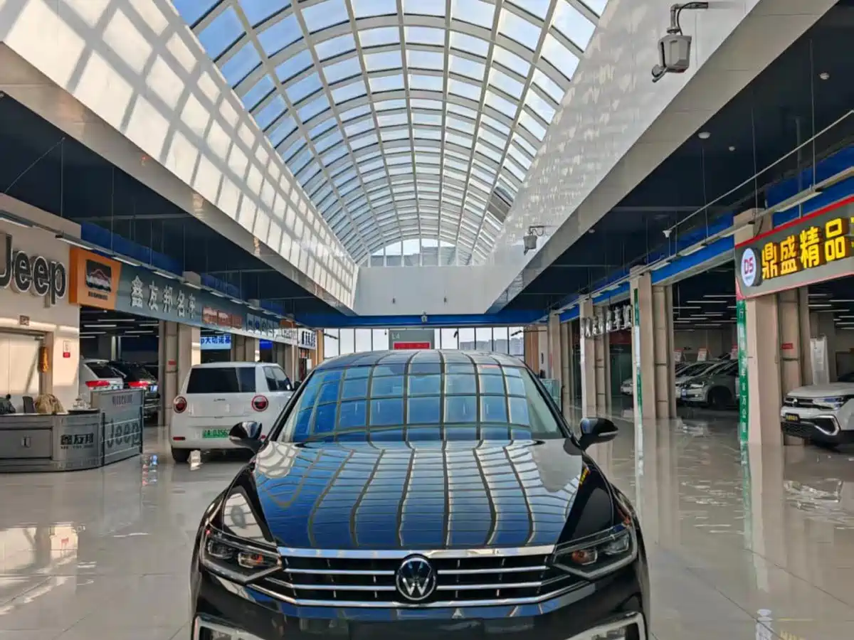Volkswagen Magotan 2020 330TSI DSG Leading фото 2
