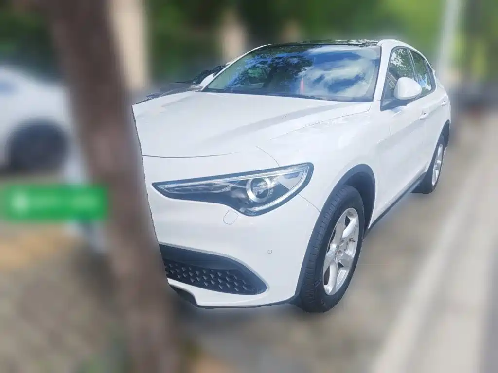 Alfa Romeo Stelvio 2019 2017 2.0T 200HP Elite