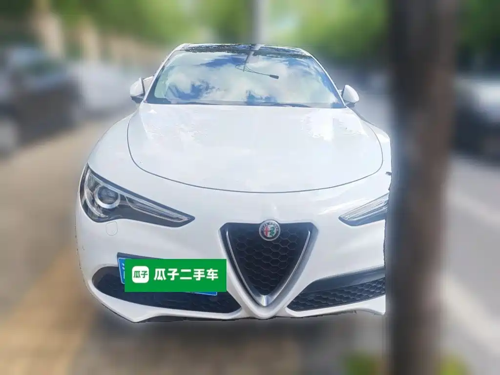 Alfa Romeo Stelvio 2019 2017 2.0T 200HP Elite