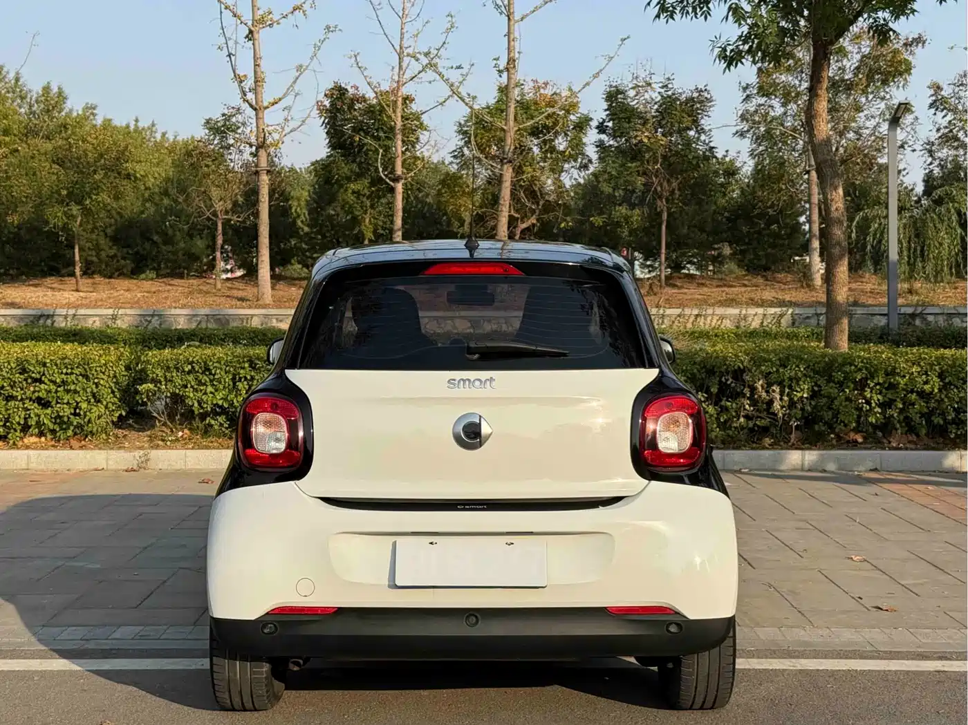 smart forfour 2018 2018 1.0L 52kW Passion Edition
