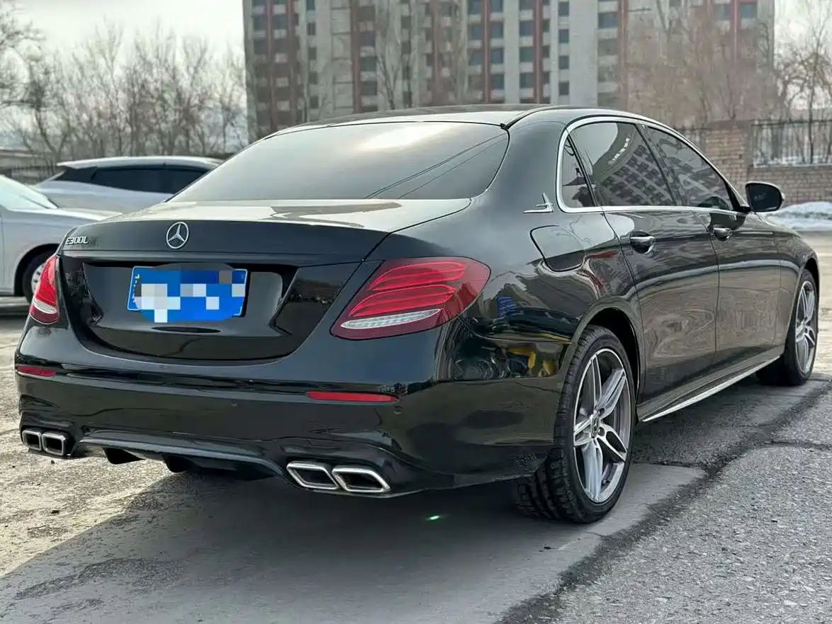 Mercedes-Benz E-Class 2019 E 200 L Sport фото 9