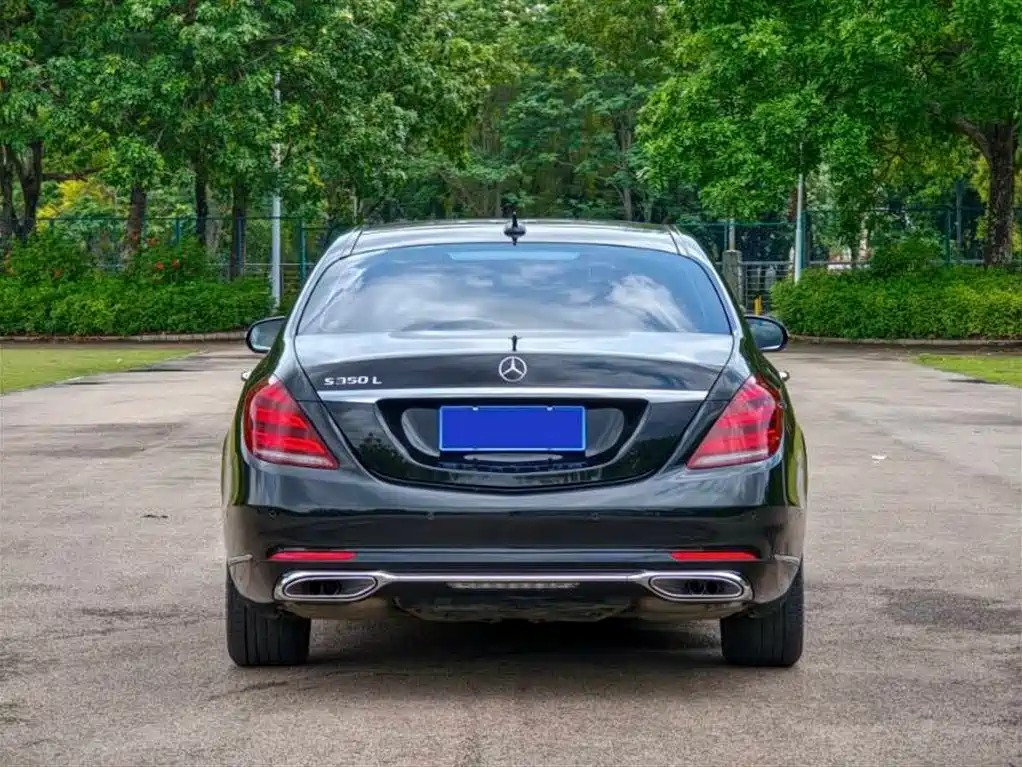 Mercedes-Benz S-Class 2018 S 350 L фото 12