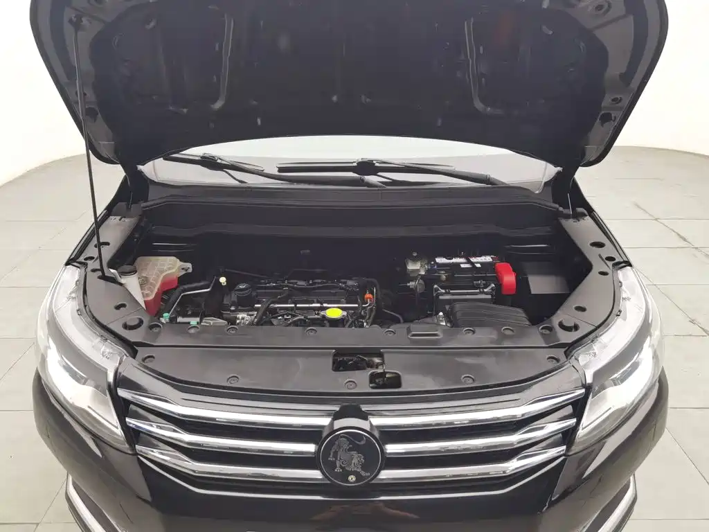 Dongfeng Fengxing Fengxing SX6 2022 2022 1.6L Manual Comfort