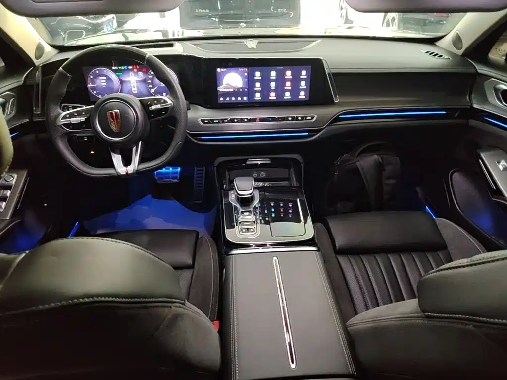 صورة 10 - Hongqi H9