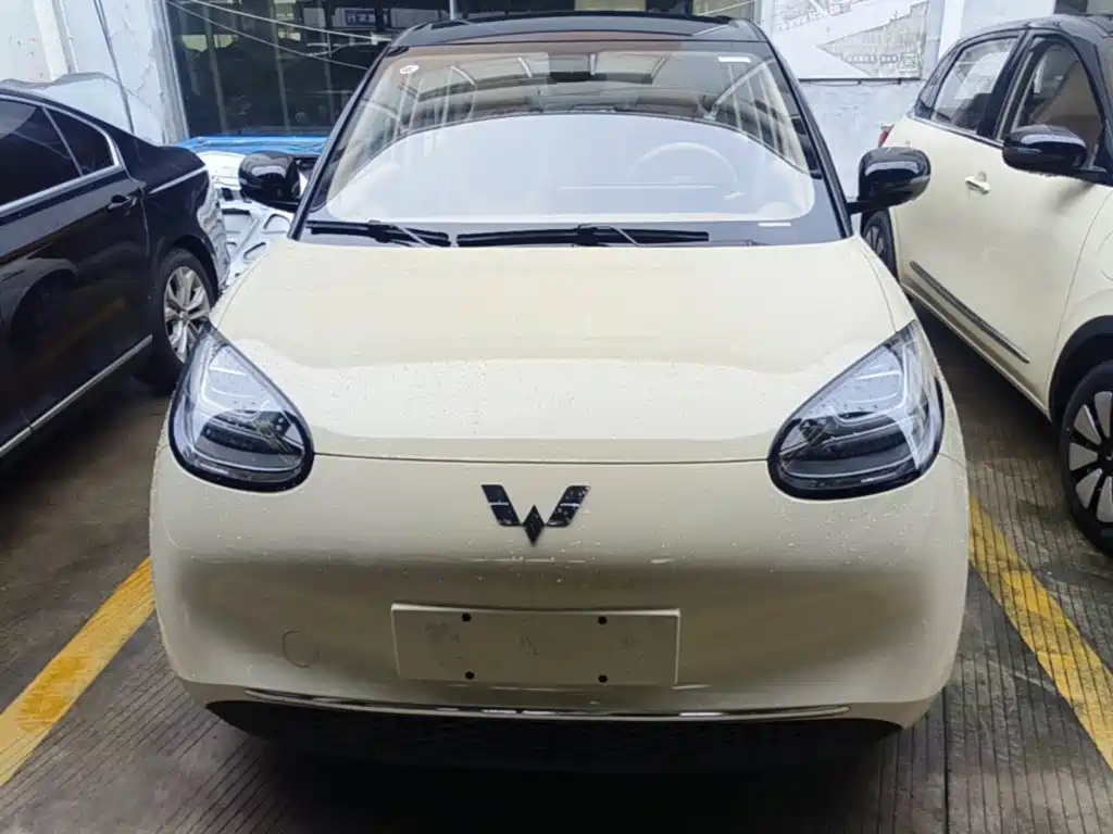 Wuling Motors Wuling Bingo 2026 2025 Model 333km Joy Edition