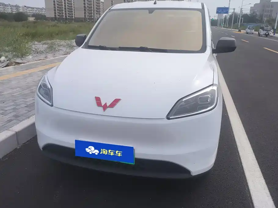 Wuling Motors Wuling Hongguang New Energy 2025 2024 Model Pure Electric 300KM Utility Version