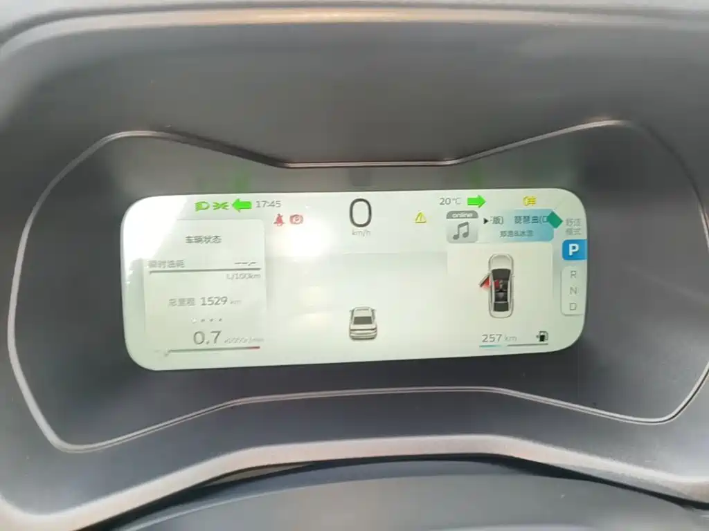 Photo 12 - Geely Emgrand