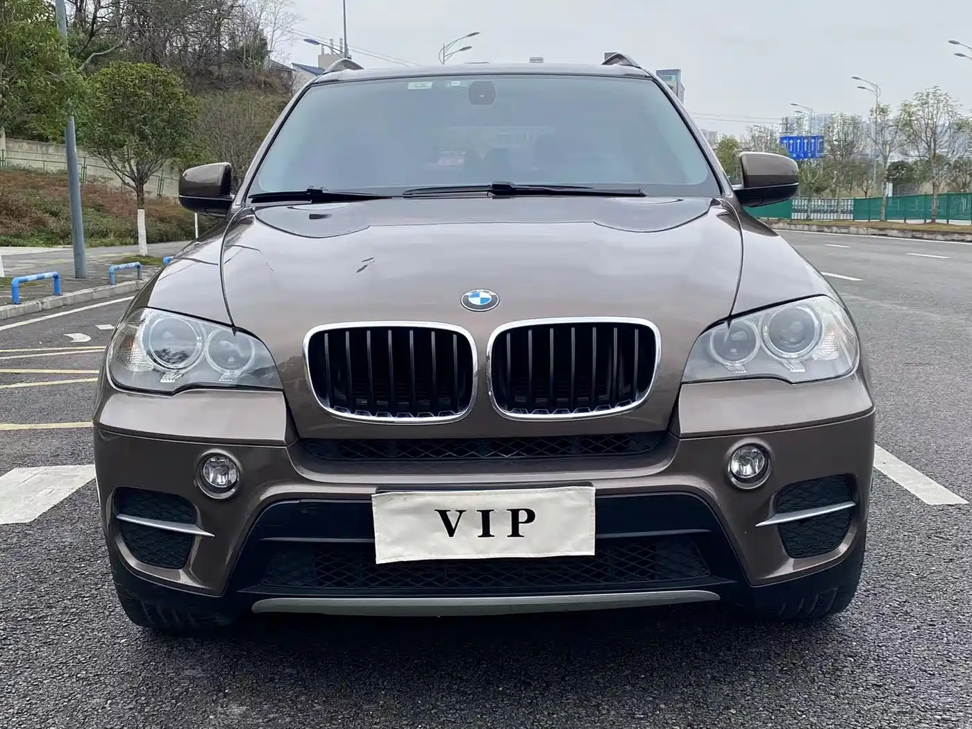 BMW X5 (Import) 2013 xDrive35i Leading фото 2