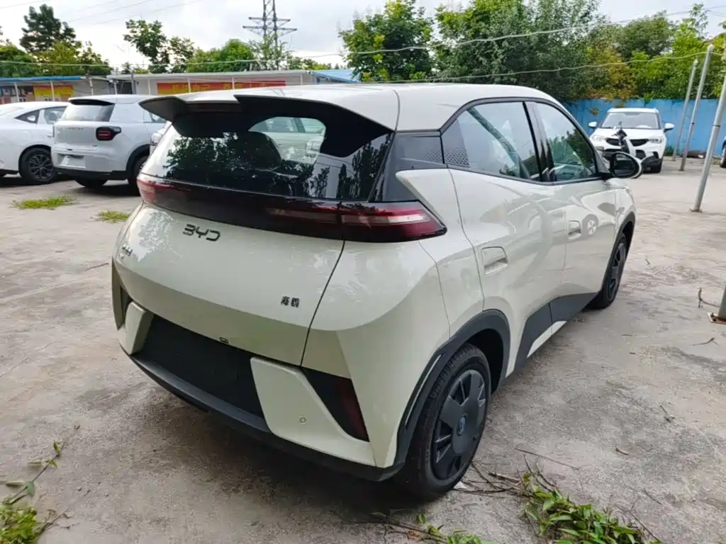 BYD Seagull 2026 2025 Smart Drive Edition 305km Vitality Version