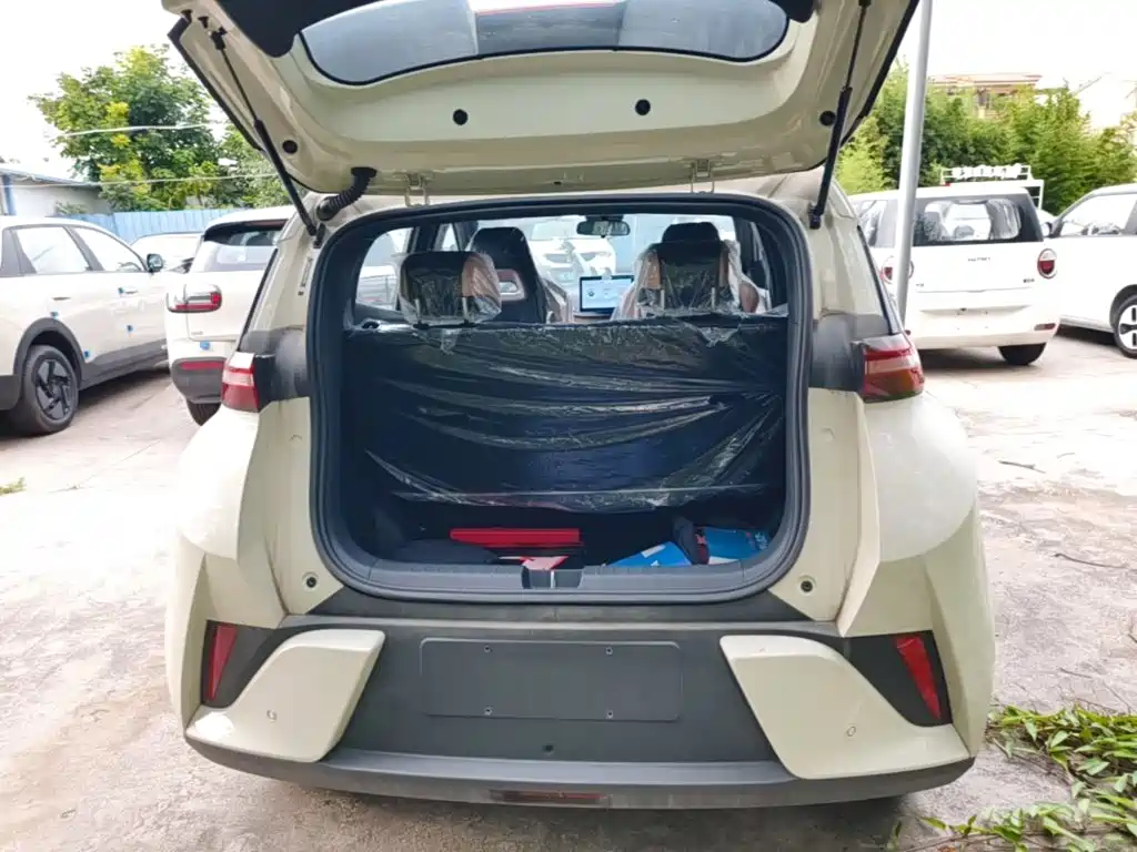 BYD Seagull 2026 2025 Smart Drive Edition 305km Vitality Version