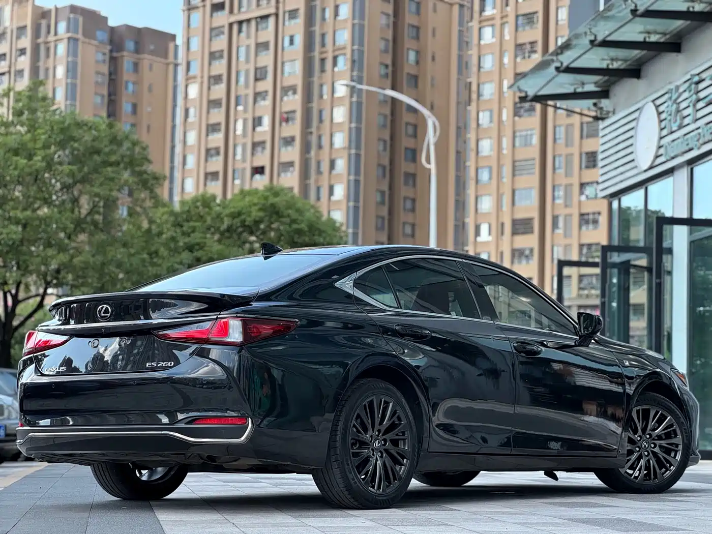 Lexus ES 2018 260 F SPORT (China V) фото 6
