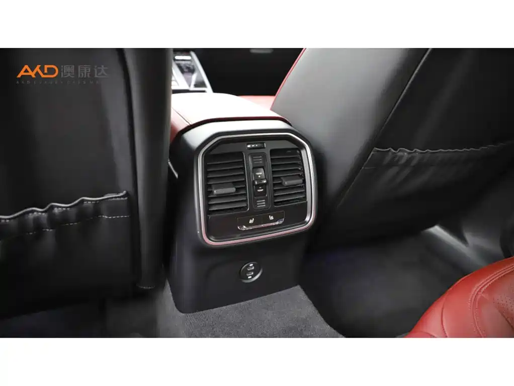 Porsche Macan 2025 2026 Macan 2.0T Dream Pursuit Edition