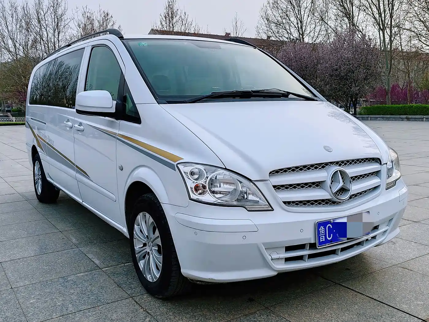 Mercedes-Benz Vito 2011 2.5L Business Edition фото 3