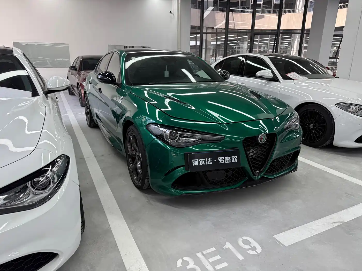 Alfa Romeo Giulia 2022 2022 2.9T Quadrifoglio