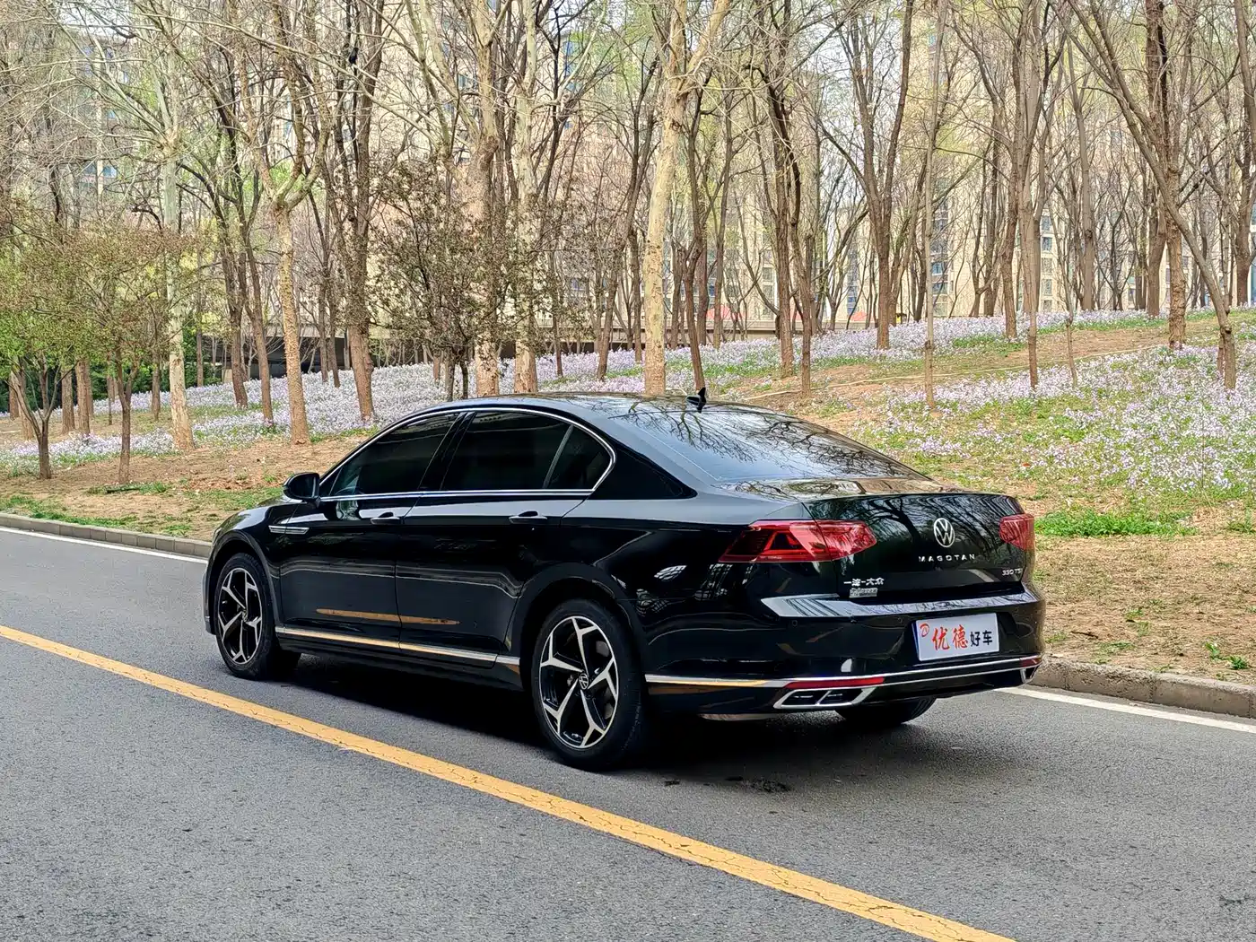 Volkswagen Magotan 2025 Facelift Public Edition 330TSI DSG Luxury фото 15