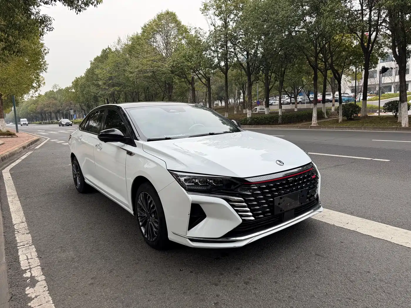 DONGFENG YI HYUN MAX