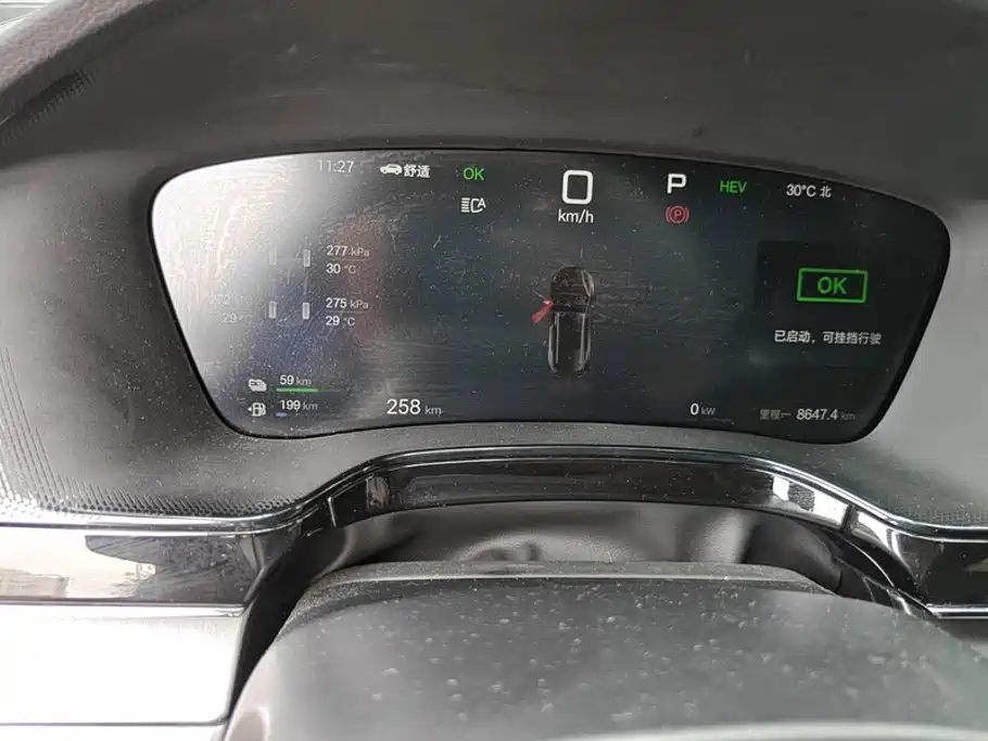 BYD Tang New Energy 2025 2025 Smart Driving Edition DM-i 115KM Honor